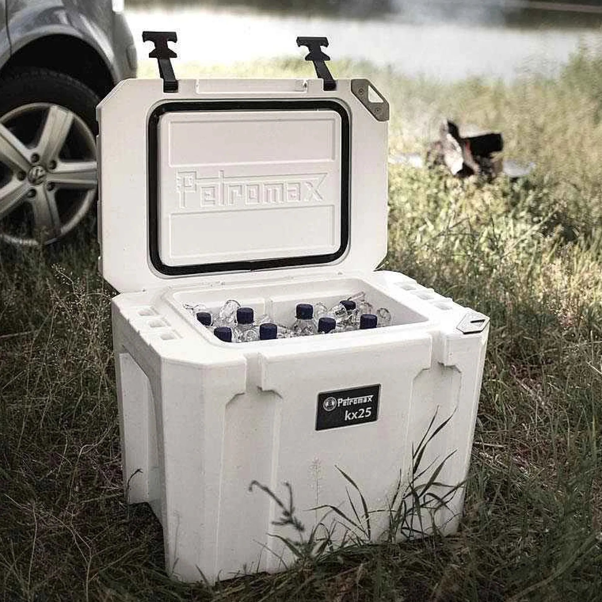 Petromax Cooler 25 Liters Clearance