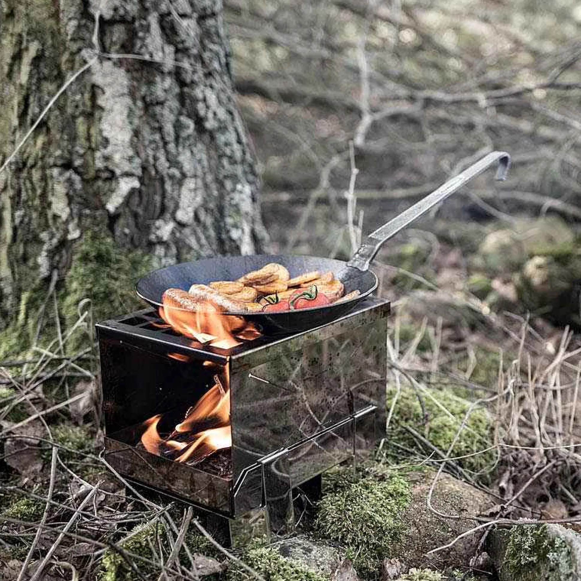 Petromax Plug-In Stove Best Sale
